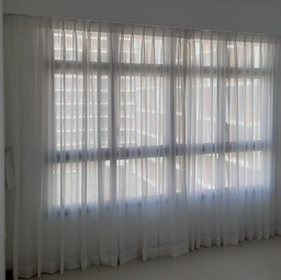 [NMT-ABC-Curtains] [DC] GL-Golden Sheers-FL